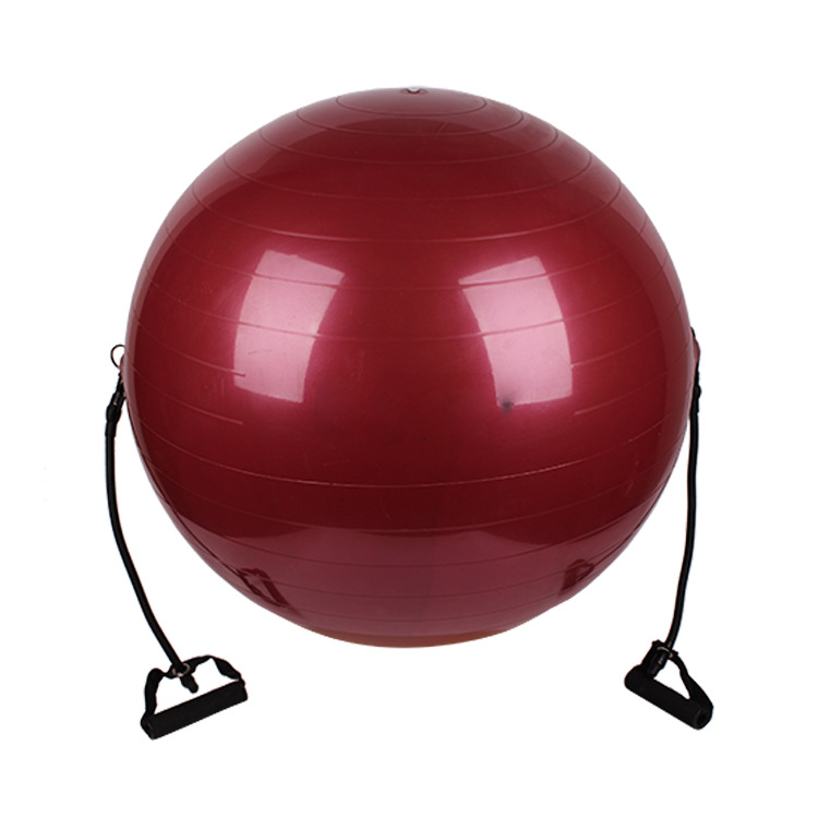 PAIDU Manufacturer Home Gym Workout Set Balance Ball Yoga Ball Exercise Ball with Adjustable Resistance Bands DDP