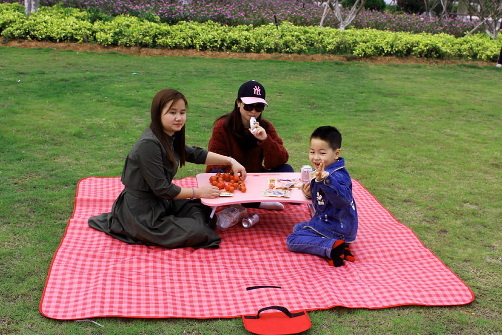 PAIDU Manufacturer BSCI Outdoor Portable Picnic Blanket 3 Size Waterproof Beach Cushion Mat