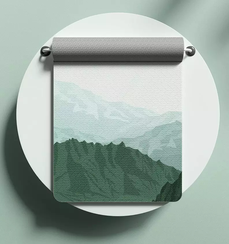 PAIDU Manufacturer BSCI Yoga Mat Exercise Beginner and Expert Printed TPE